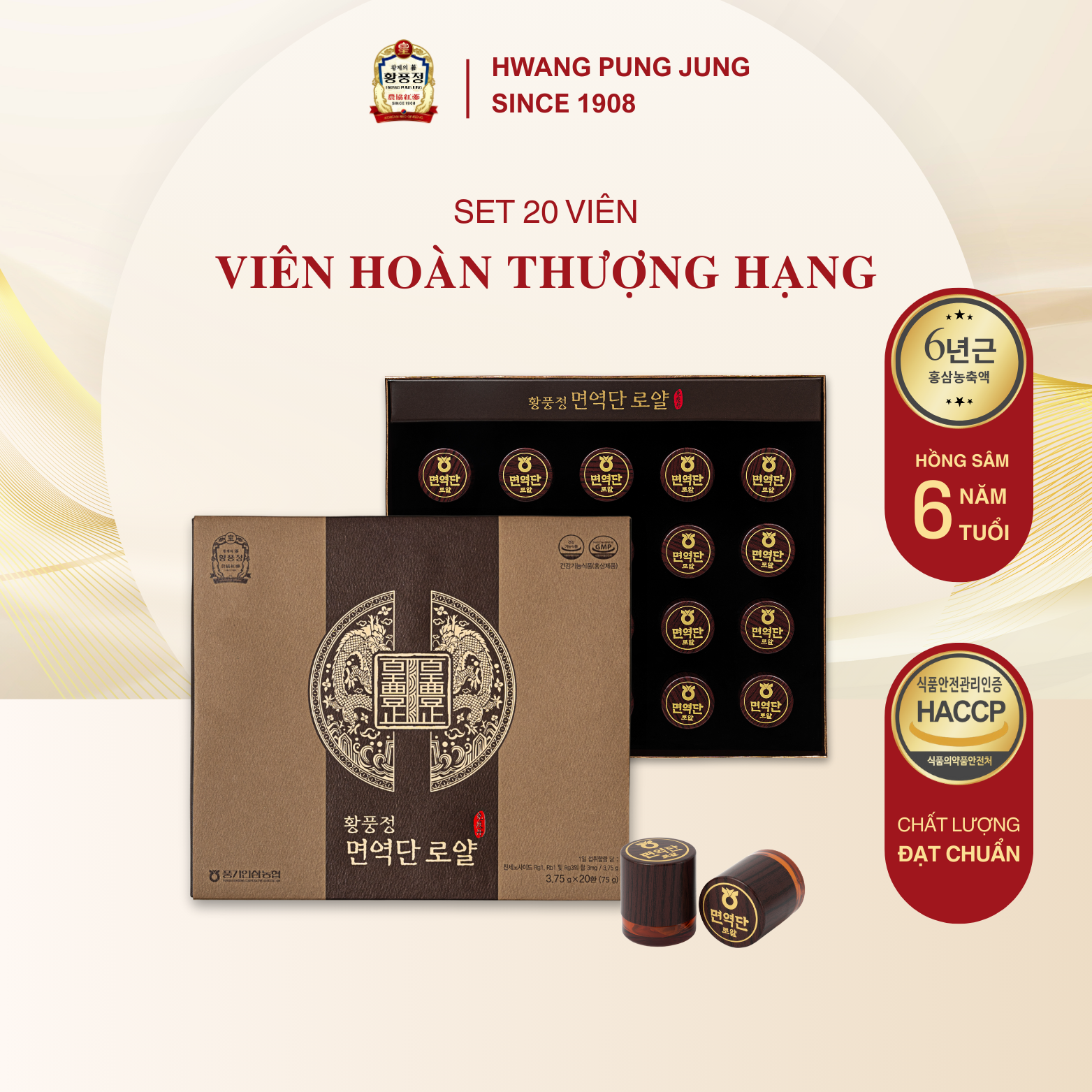Viên hoàn hồng sâm 20 viên