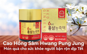 Cao hồng sâm Hwang Pung Jung: Món quà cho sức khỏe người bận rộn dịp Tết