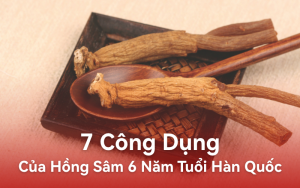 7 Công Dụng Của Hồng Sâm 6 Năm Tuổi Hàn Quốc