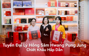 Tuyển Đại Lý Hồng Sâm Hwang Pung Jung Chiết Khấu Hấp Dẫn