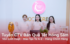 Tuyển CTV Bán Quà Tết Hồng Sâm: Đào Tạo Từ A-Z - Hàng Chính Hãng